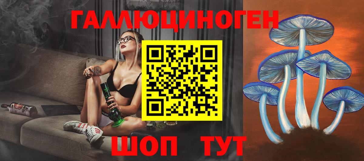 Псилоцибиновые грибы ЛСД  Псилоцибиновые грибы GOLDEN TEACHER  Вход с VPN  Петропавловск-Камчатский 