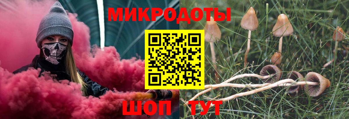 Галлюциногенные грибы прущие грибы Петропавловск-Камчатский